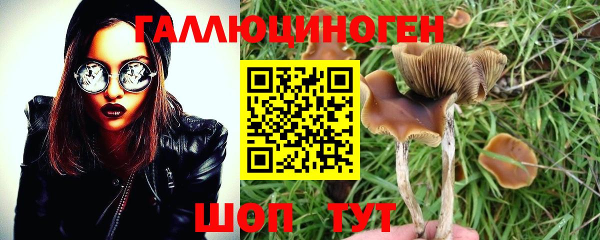 Галлюциногенные грибы Magic Shrooms Электросталь